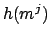 $h(m^j)$