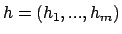 $h=(h_1,...,h_m)$