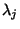 $\lambda_j$